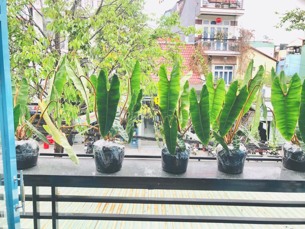 An'S Family Homestay Hoi An - 5Mins Walk To Hoi An Ancient Town エクステリア 写真