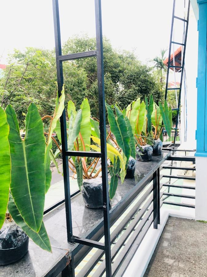 An'S Family Homestay Hoi An - 5Mins Walk To Hoi An Ancient Town エクステリア 写真